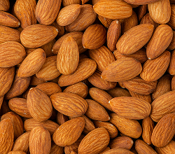 Biotin (Vitamin B7)