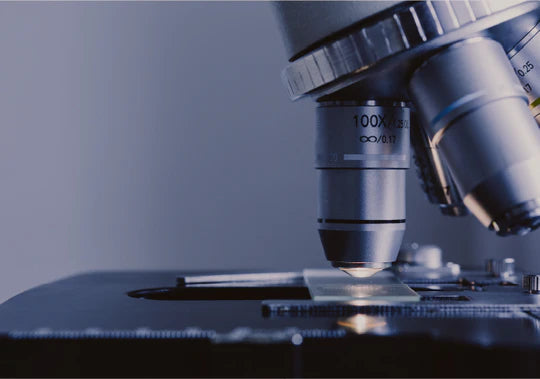 ¿Qué es la biodisponibilidad de los suplementos alimenticios?