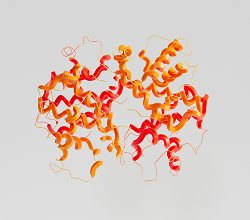 Digestive enzymes (Digezyme®)