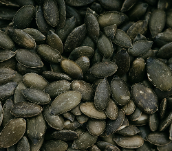 Pumpkin seed extract