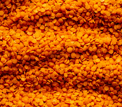 Iron (Albion® Ferrochel®)