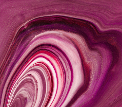 Collagen Verisol®