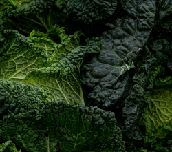 Vitamin K