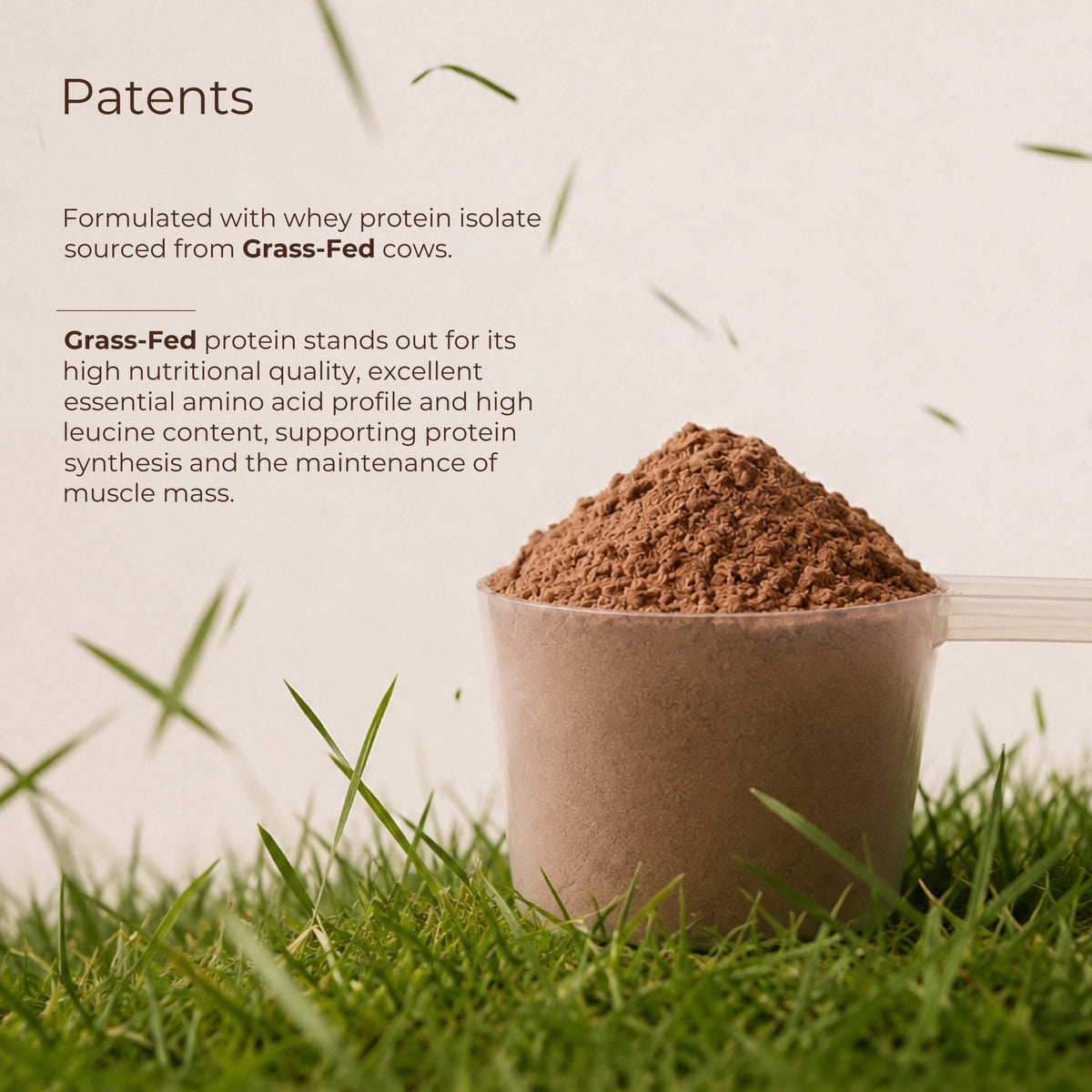 Grass Fed Whey Protein Isolate